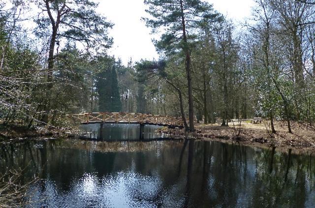 Villa De Patrijs Oudemirdum Esterno foto